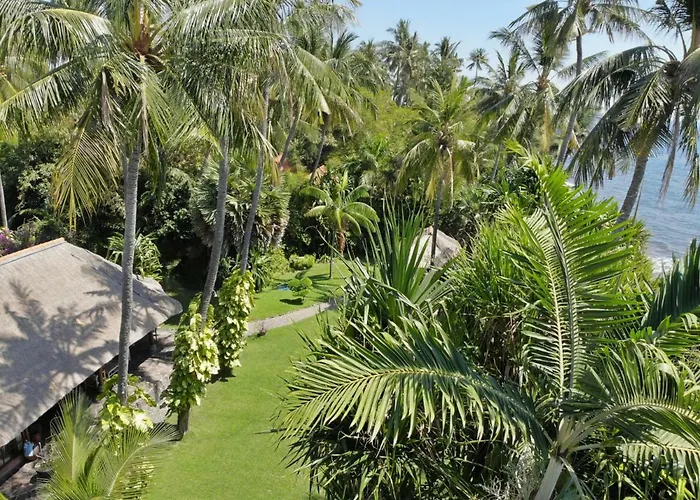 Ciliks Garden
